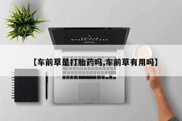 卖打胎药联系方式，【车前草是打胎药吗,车前草有用吗】