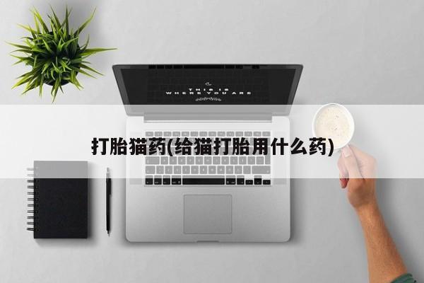 卖打胎药联系方式，打胎猫药(给猫打胎用什么药)