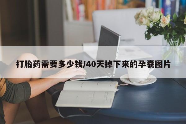 卖打胎药联系方式，打胎药需要多少钱/40天掉下来的孕囊图片