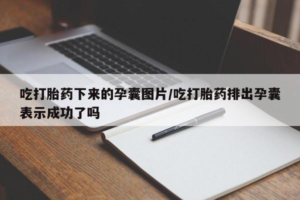 卖打胎药联系方式，吃打胎药下来的孕囊图片/吃打胎药排出孕囊表示成功了吗